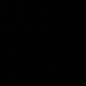 Meet your Posher, Daly